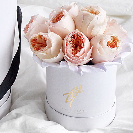 Пионовидные розы Остина «Джульет» в белой коробке Baby