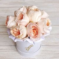 Пионовидные розы Остина «Джульет» в белой коробке Baby