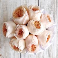 Пионовидные розы Остина «Джульет» в белой коробке Baby