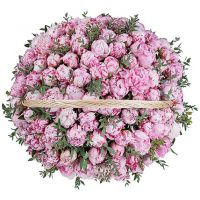 101 пион в корзине