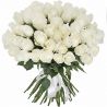 51 белая роза (40 см)