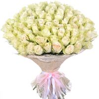 75 белых роз (40 см)
