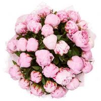 Букет из 29 пионов «Герцогиня»