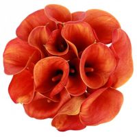 Букет из калл №21