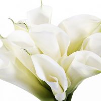 Букет из белых калл №22