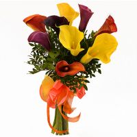 Букет из разноцветных калл №25