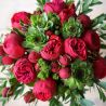 Букет с красными пионовидными розами «Ред пиано» №161