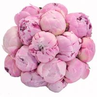 Букет из розовых пионов №168