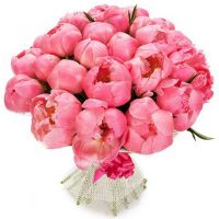 Букет из 25 коралловых пионов