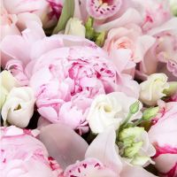 Корзина с пионами «Нежность»