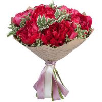 Букет бордовых пионов  «Бархат»