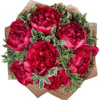 Букет бордовых пионов  «Бархат»