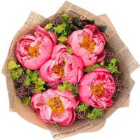 Букет коралловых пионов «Марокко»