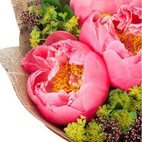 Букет коралловых пионов «Марокко»