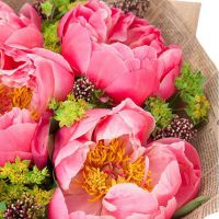 Букет коралловых пионов «Марокко»