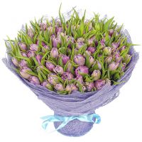 101 тюльпан нежно-фиолетовый