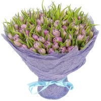 101 тюльпан нежно-фиолетовый