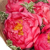 Букет коралловых пионов «Летний вальс»