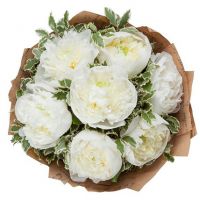 Букет из 7 белых пионов