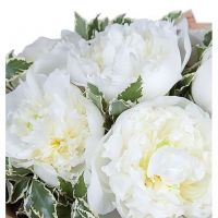 Букет из 7 белых пионов