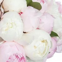 Букет из 51 пиона «Милена»