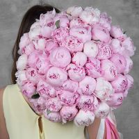 Букет из 55 розовых пионов
