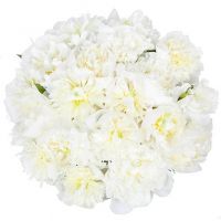 Букет из 19 белых пионов «Эсмеральда»