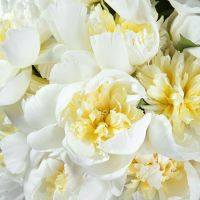 Букет из 19 белых пионов «Эсмеральда»