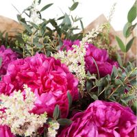 Букет из 5 пионов «Изыск»