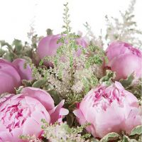 Букет из 5 пионов розовых «Королева»