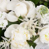 Корзина с пионами и гортензиями «Белла»