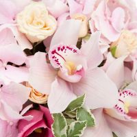 Корзина с орхидеями и гортензией «Вуаль»