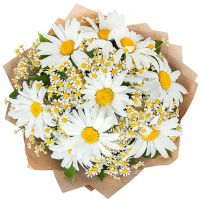 Букет ромашек «Ласковое лето»