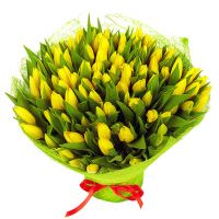 101 тюльпан желтый