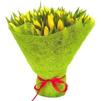 101 тюльпан желтый