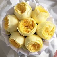 Желтые пионовидные розы «Каталина» в белой коробке Small