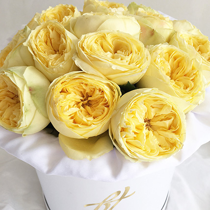 Желтые пионовидные розы «Каталина» в белой коробке Royal