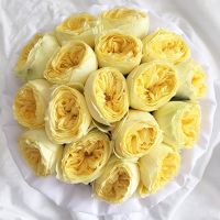 Желтые пионовидные розы «Каталина» в белой коробке Royal