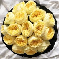 Желтые пионовидные розы «Каталина» в черной коробке Royal