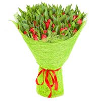 101 тюльпан красный