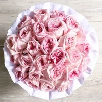 Душистые пионовидные розы Pink O'hara в белой коробке Royal