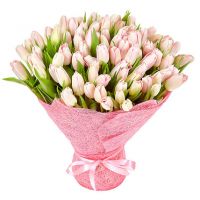 101 тюльпан нежно-розовый