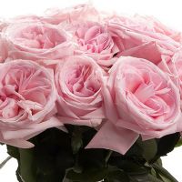 Букет из пионовидных роз «Pink O'hara»