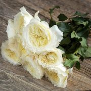 Букет из пионовидных роз Остина «Patiece»