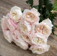 Букет из пионовидных роз Остина «Keira»
