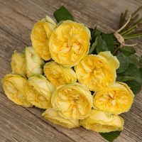 Букет из желтых пионовидных роз «Catalina»