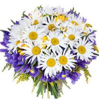 Букет ромашек и ирисов «Неожиданный сюрприз»