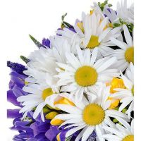 Букет ромашек и ирисов «Неожиданный сюрприз»