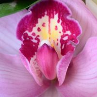 Букет «Волнительный момент»