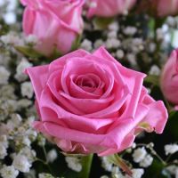 Букет «Итальянка»